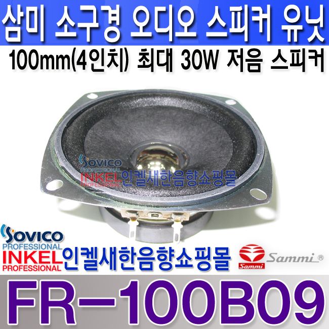 FR-100B09 LOGO.jpg